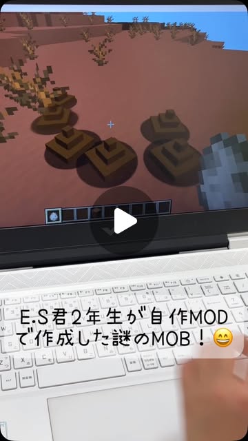 E.S君（2年生）が自作MODで作成した謎のMOB